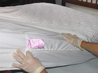 Places  Beds on Quality Mattress And Box Spring Encasements Reduce Bed Bug Problems