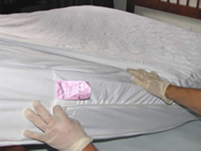 encasement on mattress