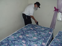 Technician treating mattress for bed bugs