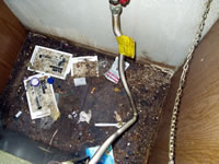 corregated gas line to stove