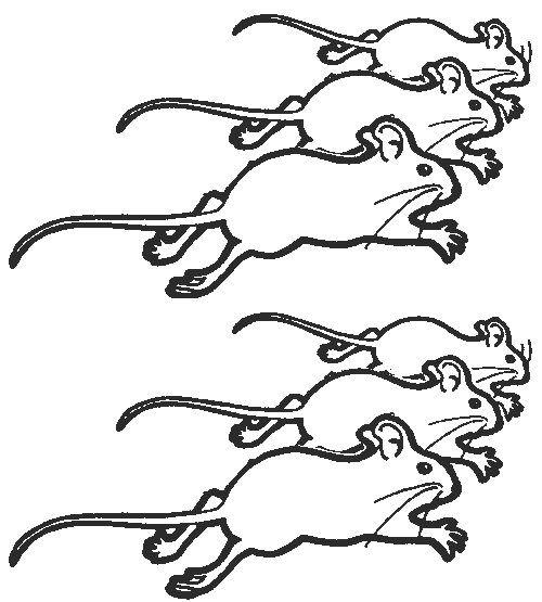 multiple mice