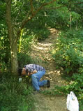 entomologist check trap in field