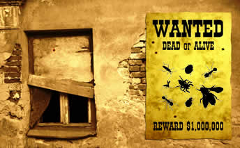 Old west scene with wanted poster showing pests